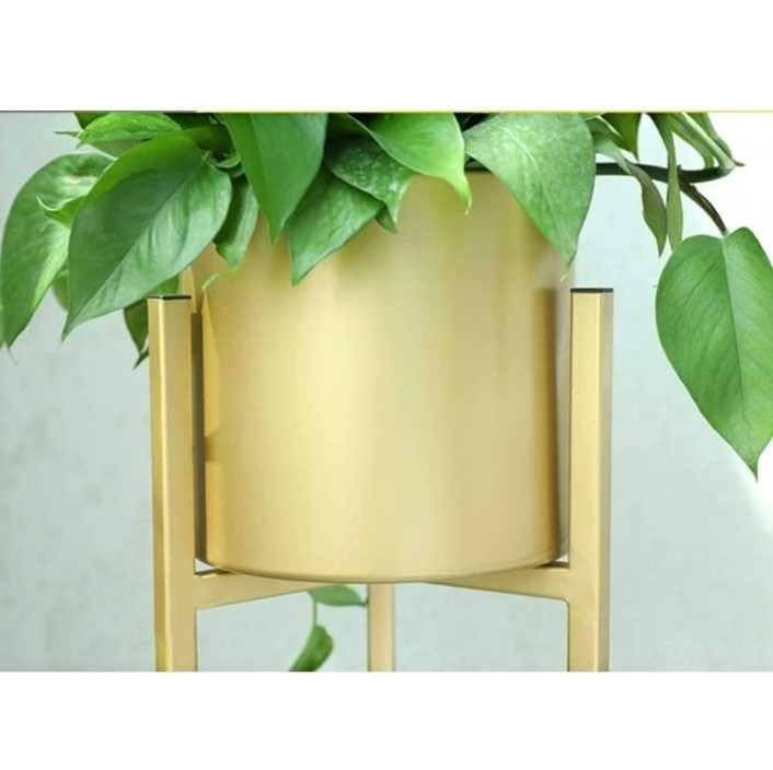 Indoor Planters - Set of 3