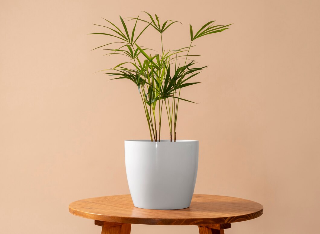 Artificial Plants/Pots